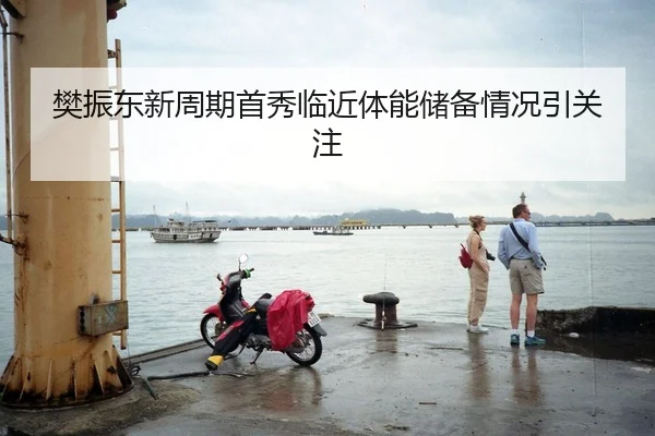 樊振东新周期首秀临近体能储备情况引关注 - Mogen Sports